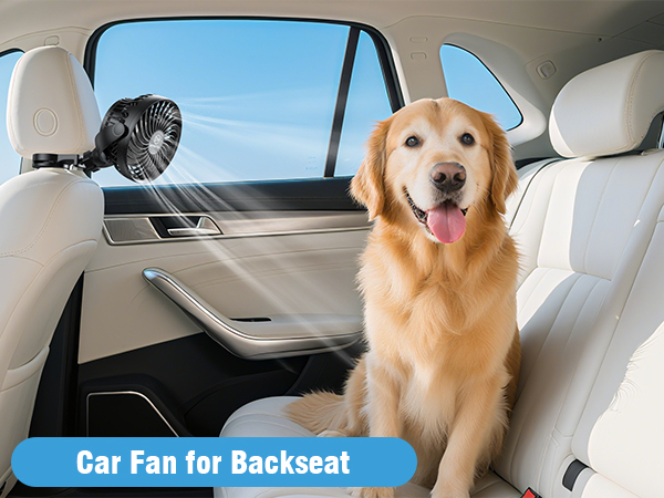 car fan