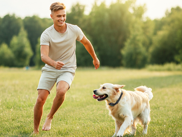 most effective bark collar