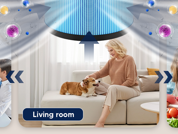 aroeve air purifiers filter