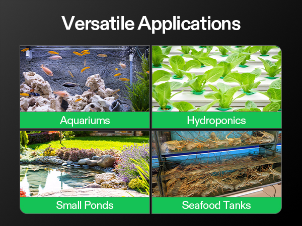 complete accessories