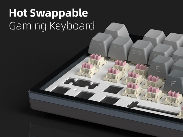 Hot-Swappable Custom Switches