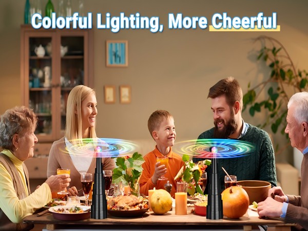food fans to keep flies away