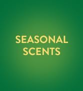 febreze plugins refill fall,our fresh plug in air freshener,air wick diffuser refills