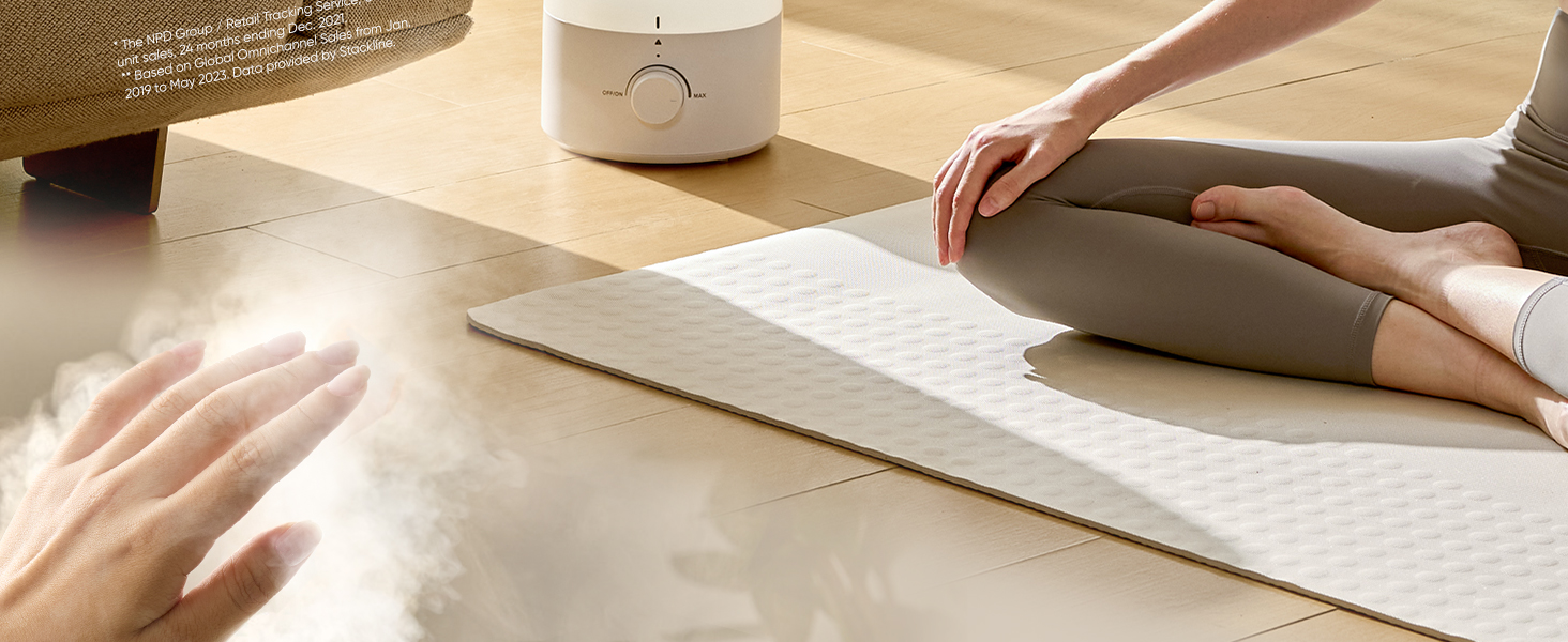 Experience Comfort with Humidifier Fine Mist