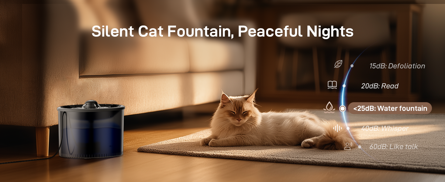 cat feeder and water dispenser