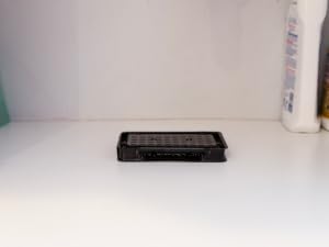 scorpion glue tray trap