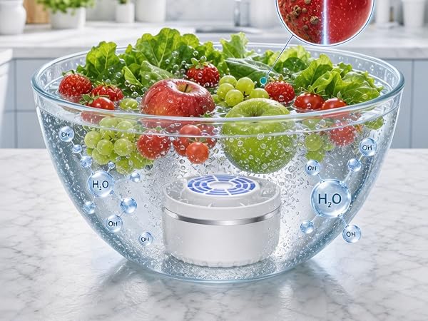 fruit cleaner machine