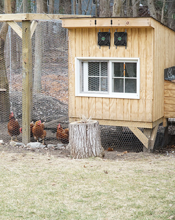 solar fan for chicken coop