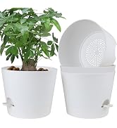YNNICO 12 Inches Indoor Self Watering Planters with Drainage Holes and Saucers, 4 Pack (White)