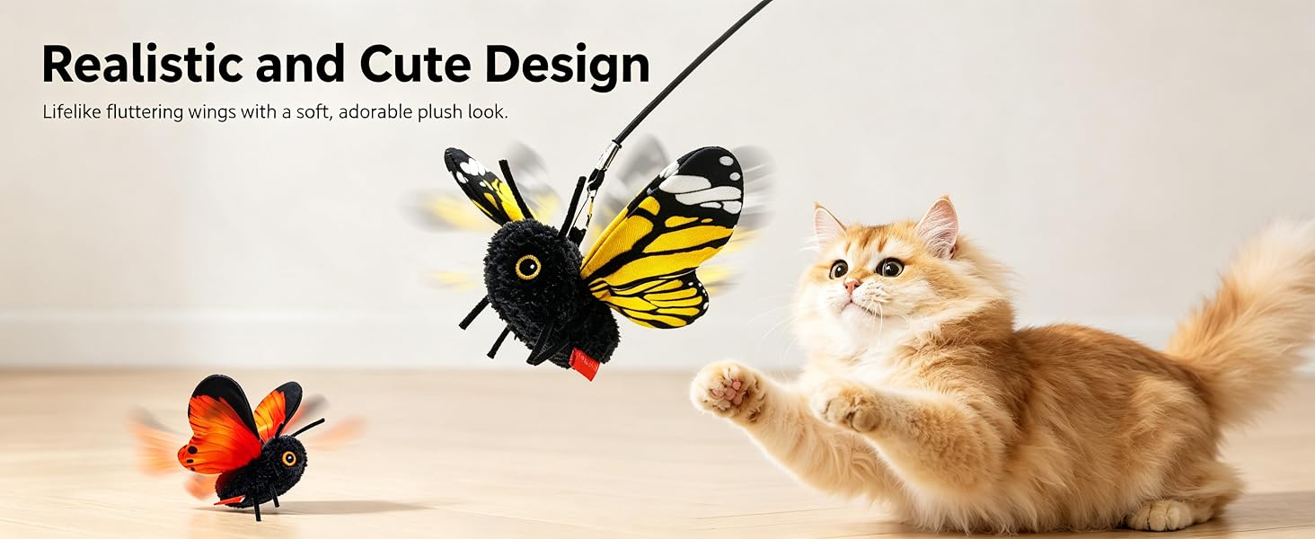 cat toys