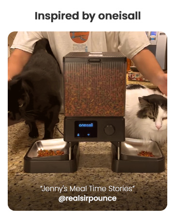 automatic cat feeder