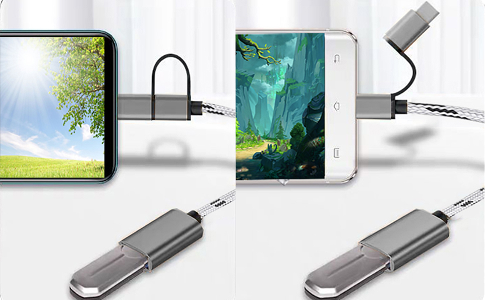 Dual interface design