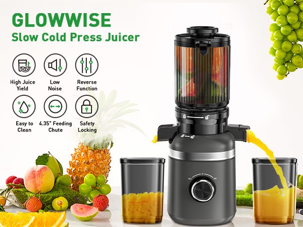 Slow Cold Press Juicer