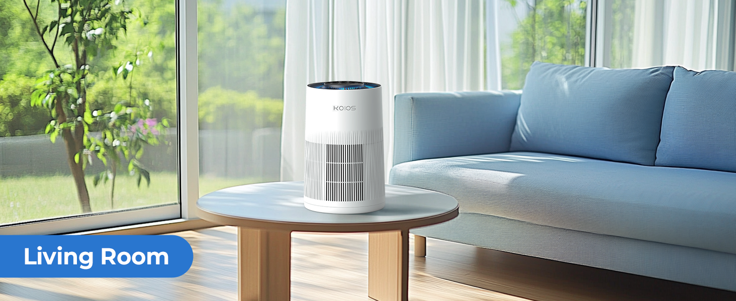 air purifiers for living room