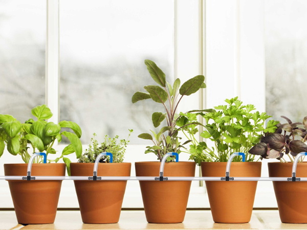 Automatic Plant Waterer
