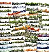 20Sheets Pre-Cut Scrapbooks Stickers Books, Nature Mountains Forests Trees Stickers for DIY Craft...