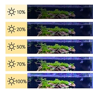 Submersible Aquarium Light