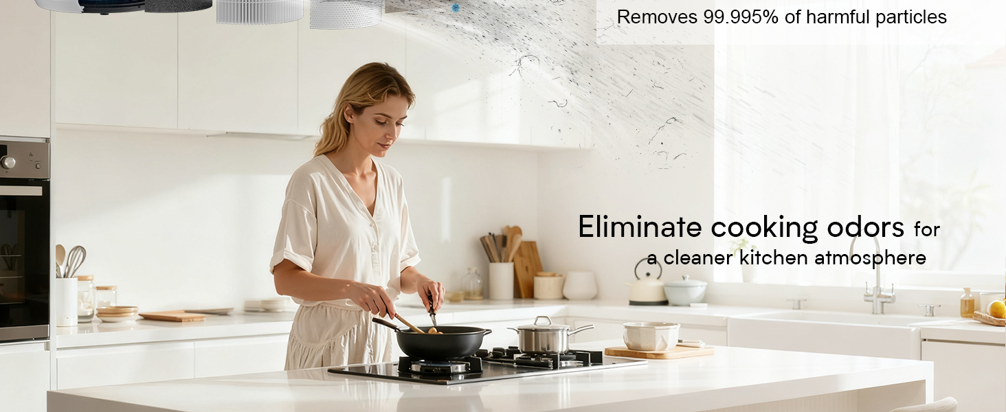 air purifier for kitchen