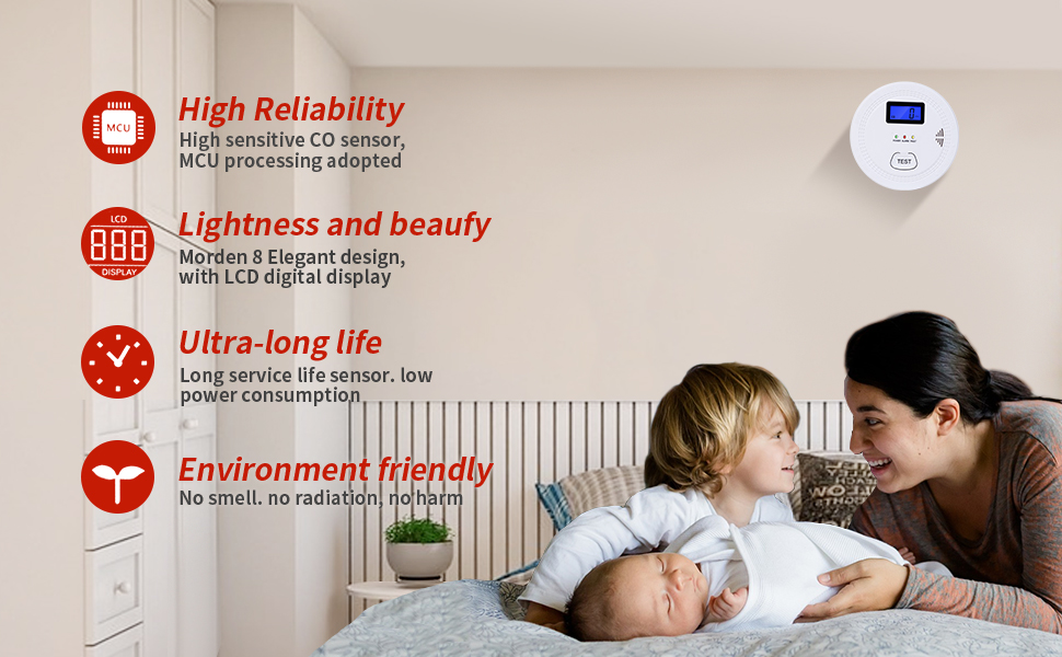 Carbon Monoxide Detector