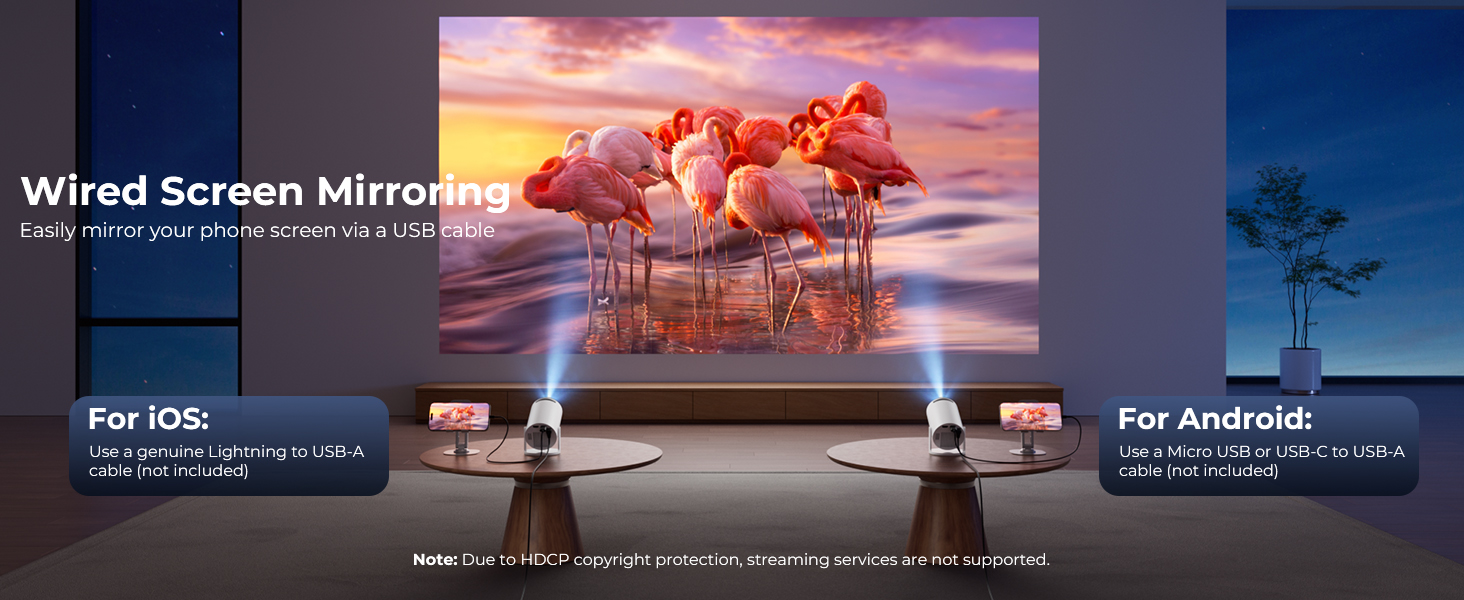 projector for ios and Android