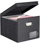 BALEINE File Organizer Box with Lid, Collapsible File Folder Organizer with Plastic Slide, Hangin...