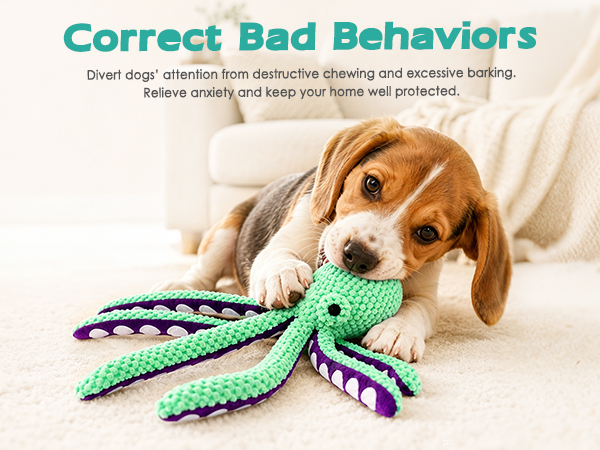 toys for dogs