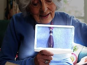 Page magnifier with leds