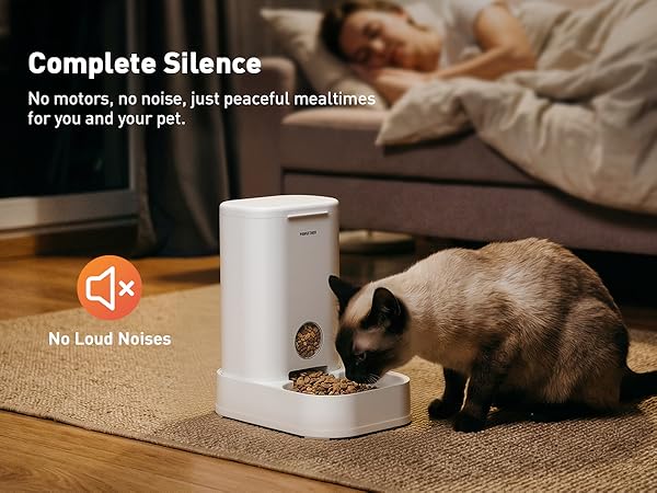cat feeder automatic