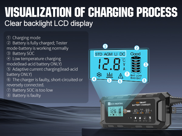 lifepo4 battery charger
