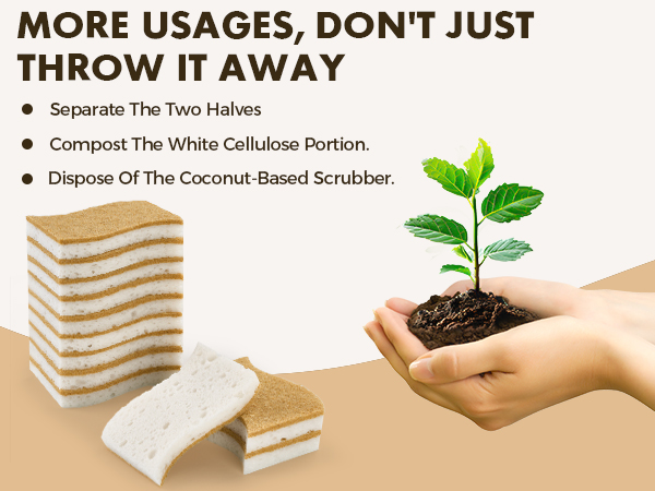 compostable sponges