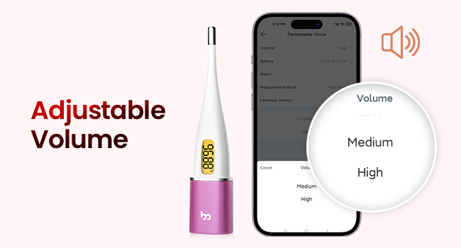 digital basal thermometer
