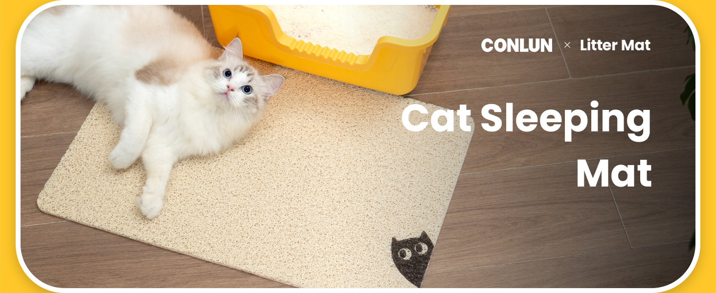 cat litter mat