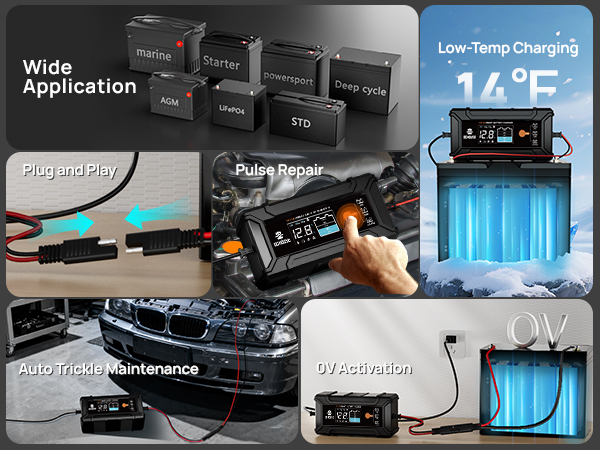 5A LifePO4 Battery Charger