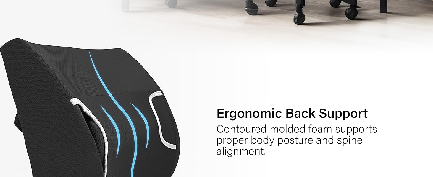 Ergonomic Back Support