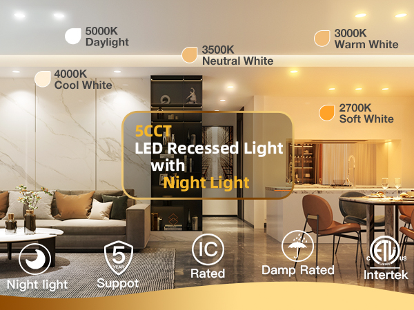 downlight