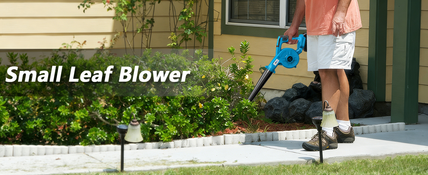 Small Leaf Blower Cordless