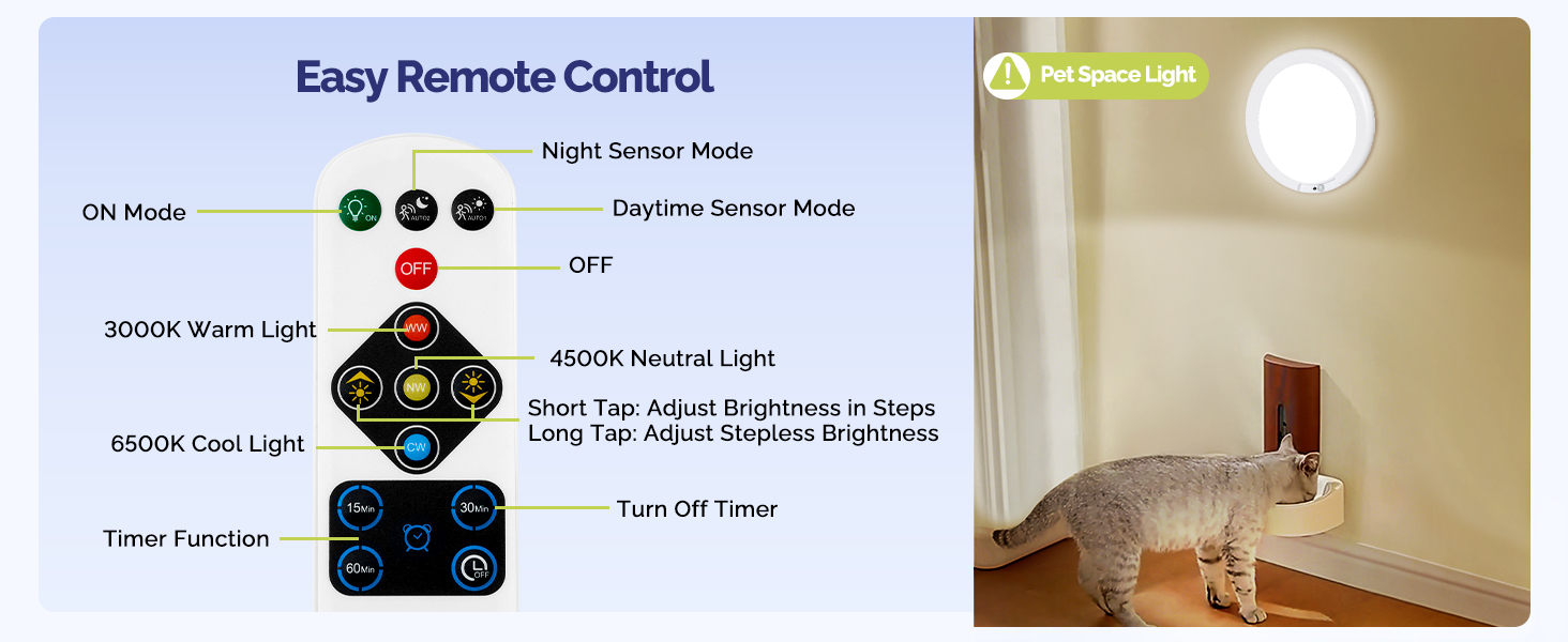 Battery Operated Ceiling Light with Remote