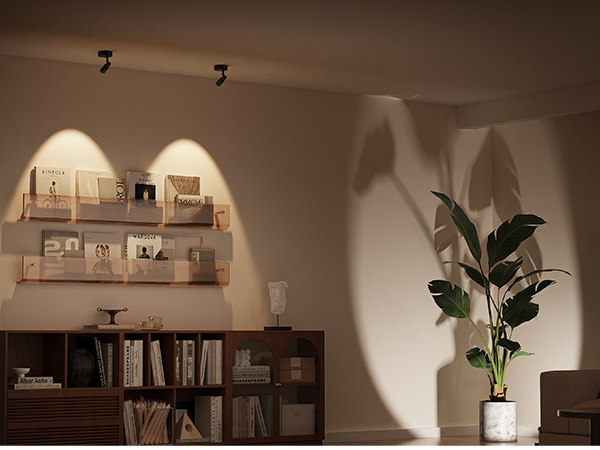 Art Display Case