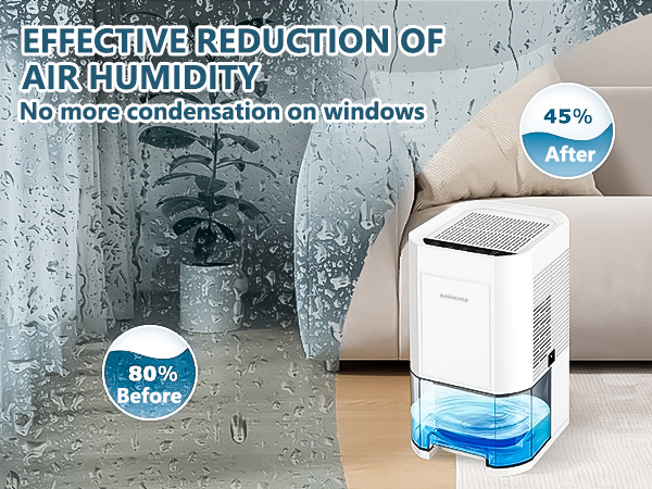 Dehumidifier for Home