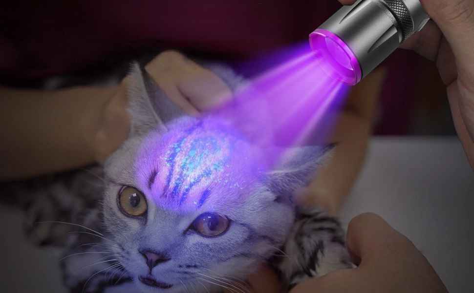 uv flashlight for pet