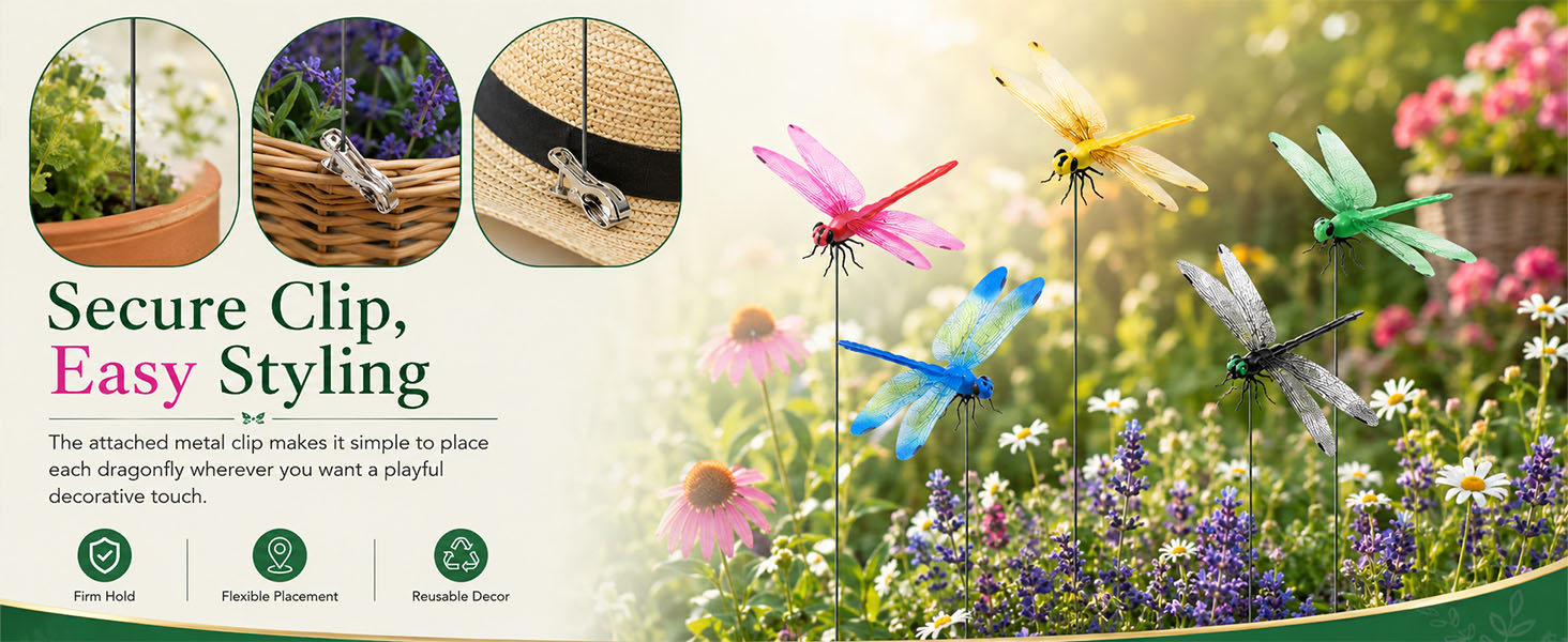 Fun Dragon Fly Clips