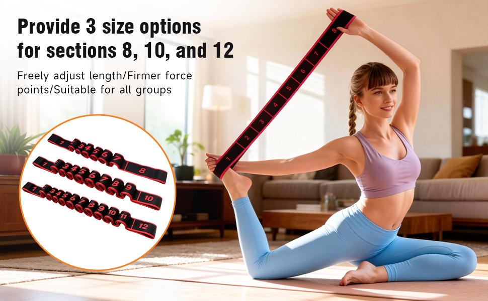 Provide 3 size options for sections 8, 10, and 12
