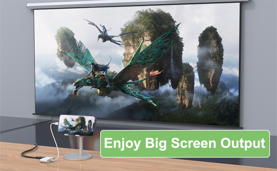Enjoy Big Screen output