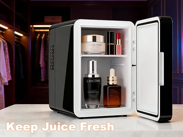 mini skincare fridge