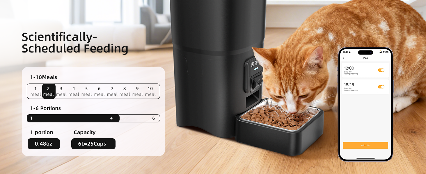 automatic cat feeder