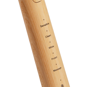 5 Adjustable Cleaning Modes