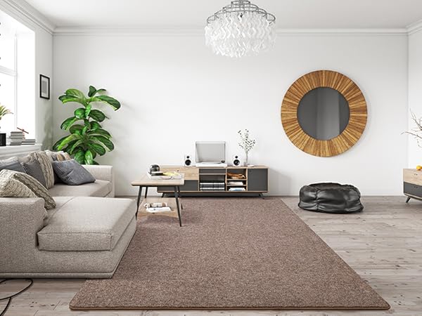 brown and white living room rug