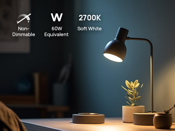 A19 LED light bulbs non dimmable bulbs