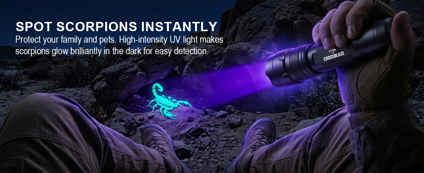 Scorpion Hunting