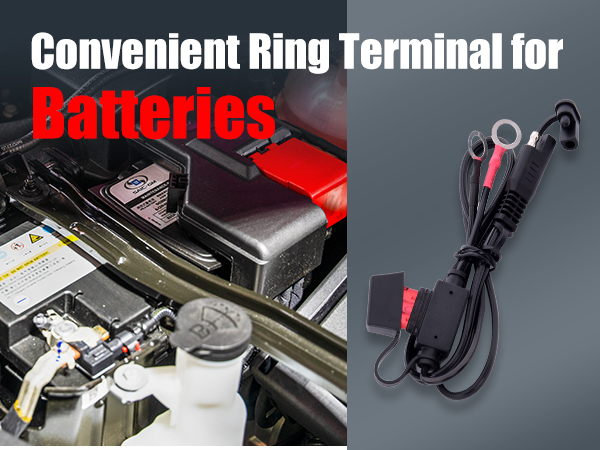 TOPDC 4 PCS 22&amp;#34; 10A Fused Ring Terminal Harness Quick Connect